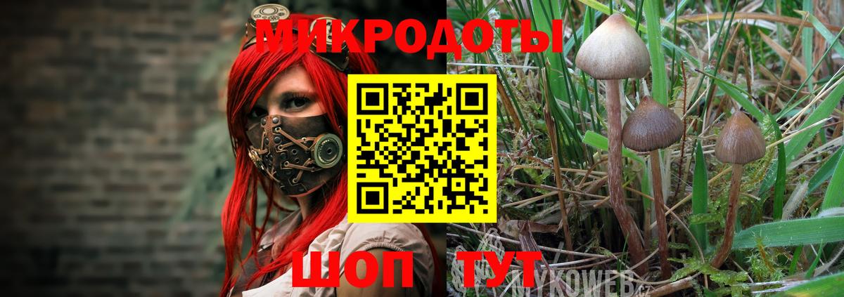 Псилоцибиновые грибы GOLDEN TEACHER  Вход с VPN  где купить наркоту  Псилоцибиновые грибы GOLDEN TEACHER  Воркута 